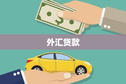 古浪外汇贷款