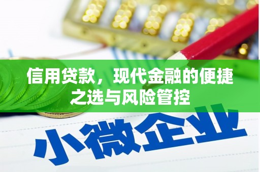 正安信用贷款，现代金融的便捷之选与风险管控
