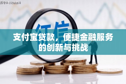 苏家屯支付宝贷款，便捷金融服务的创新与挑战