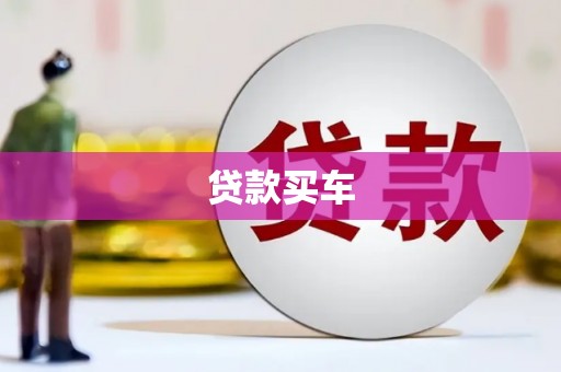 乐东贷款买车