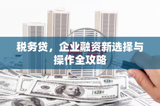 安远税务贷，企业融资新选择与操作全攻略