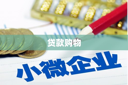 宣威贷款购物
