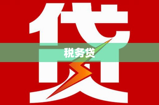 崇左税务贷