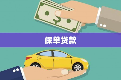 太子河保单贷款
