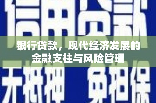 龙游银行贷款，现代经济发展的金融支柱与风险管理
