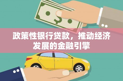 新店政策性银行贷款，推动经济发展的金融引擎
