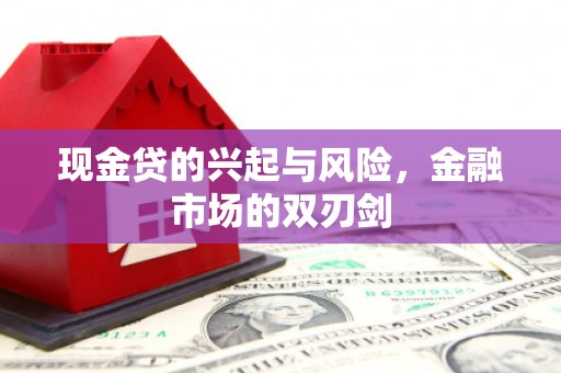 布袋现金贷的兴起与风险，金融市场的双刃剑