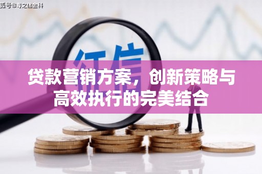 江源贷款营销方案，创新策略与高效执行的完美结合