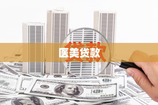 永清医美贷款