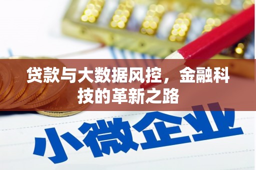 狮潭贷款与大数据风控，金融科技的革新之路