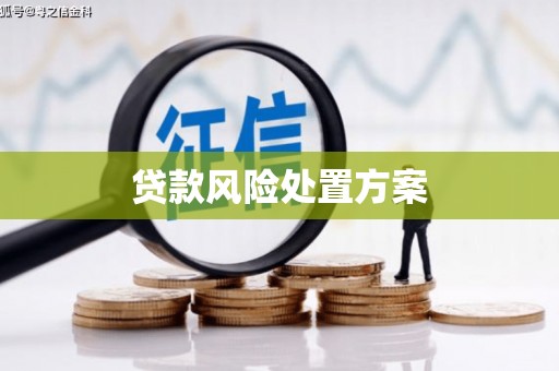 通海贷款风险处置方案