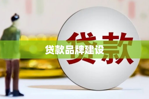 水林贷款品牌建设