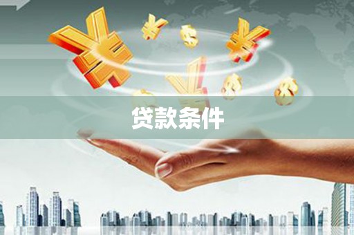 分宜贷款条件