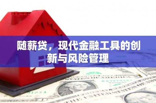 富县随薪贷，现代金融工具的创新与风险管理