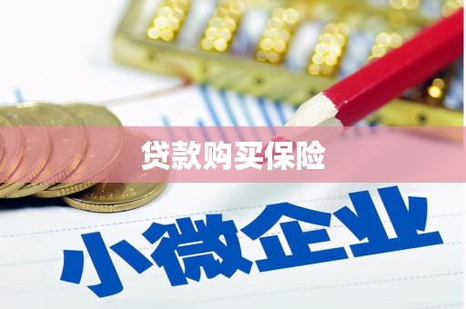 吉县贷款购买保险