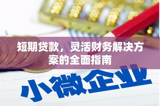 横县短期贷款，灵活财务解决方案的全面指南