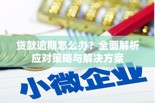 柳南贷款逾期怎么办？全面解析应对策略与解决方案