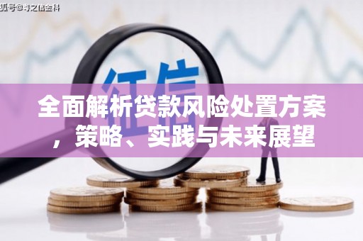 孝感全面解析贷款风险处置方案，策略、实践与未来展望