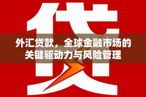 泾县外汇贷款，全球金融市场的关键驱动力与风险管理