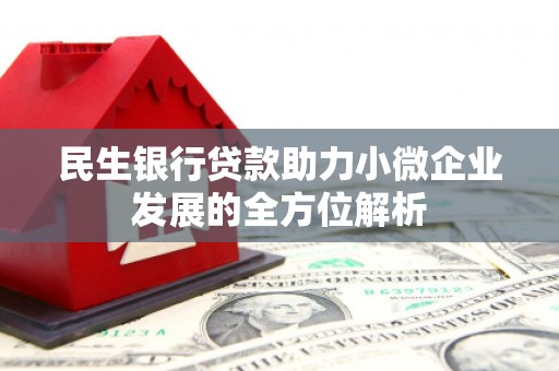 圣方济各堂区民生银行贷款助力小微企业发展的全方位解析