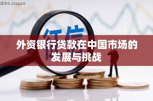 保亭外资银行贷款在中国市场的发展与挑战