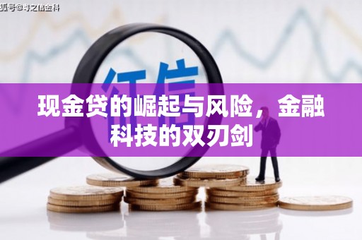 漳县现金贷的崛起与风险，金融科技的双刃剑
