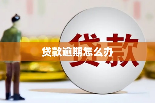 银川贷款逾期怎么办