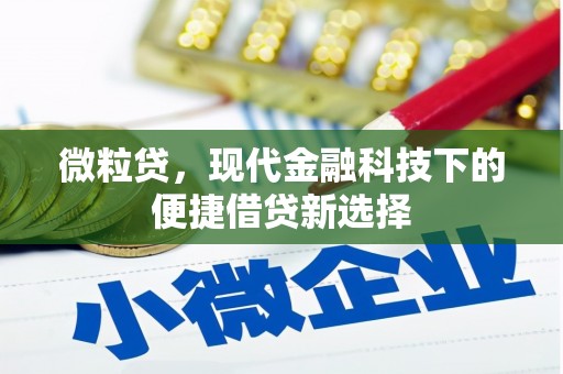 南陵微粒贷，现代金融科技下的便捷借贷新选择
