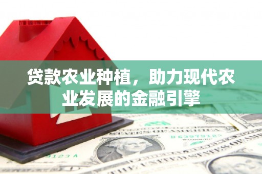 宜章贷款农业种植，助力现代农业发展的金融引擎