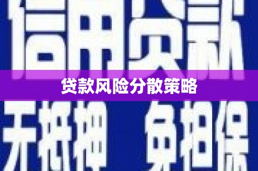 南郊贷款风险分散策略