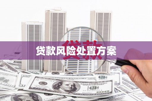 靖宇贷款风险处置方案