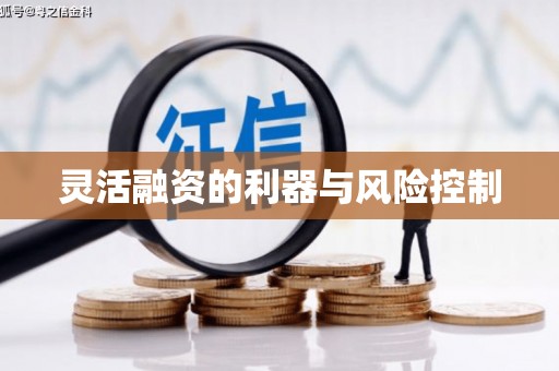 瓮安灵活融资的利器与风险控制