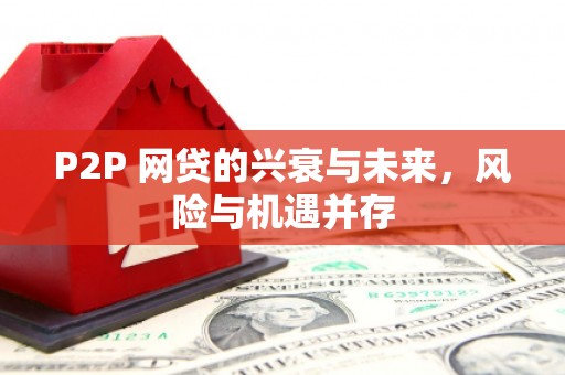 甘洛P2P 网贷的兴衰与未来，风险与机遇并存