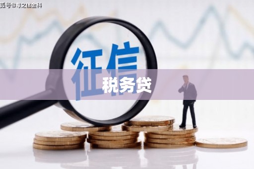 高阳税务贷