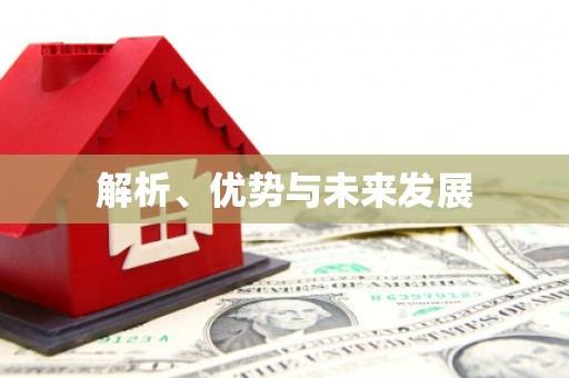 龙江解析、优势与未来发展