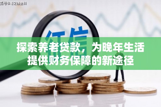 南宫探索养老贷款，为晚年生活提供财务保障的新途径