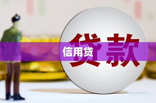 华安信用贷