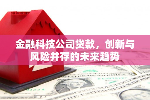 于田金融科技公司贷款，创新与风险并存的未来趋势