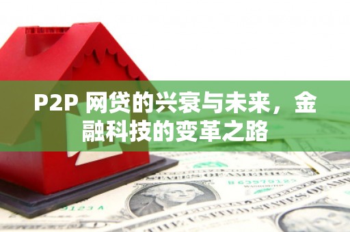 孙吴P2P 网贷的兴衰与未来，金融科技的变革之路