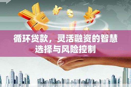 顺昌循环贷款，灵活融资的智慧选择与风险控制