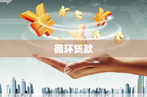 龙文循环贷款