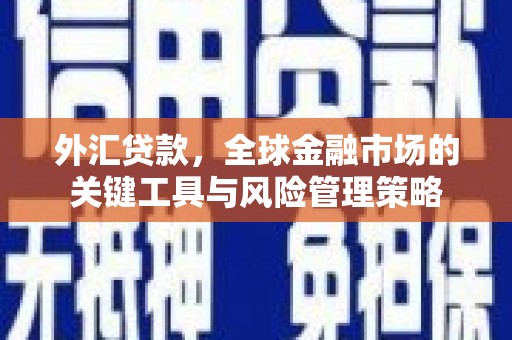 勐海外汇贷款，全球金融市场的关键工具与风险管理策略