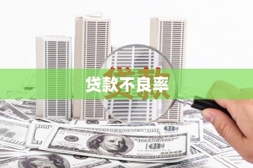 昭苏贷款不良率