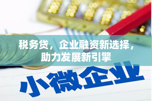 那曲税务贷，企业融资新选择，助力发展新引擎