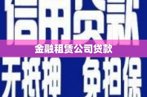 东明金融租赁公司贷款