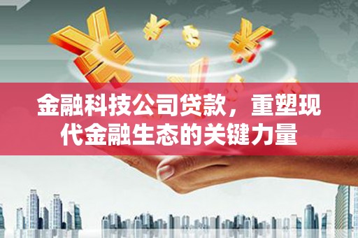 圣方济各堂区金融科技公司贷款，重塑现代金融生态的关键力量