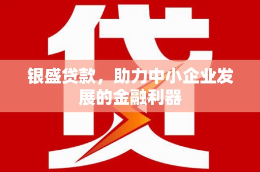 新和银盛贷款，助力中小企业发展的金融利器