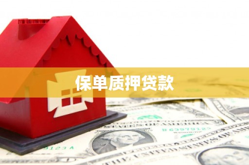 顺城保单质押贷款