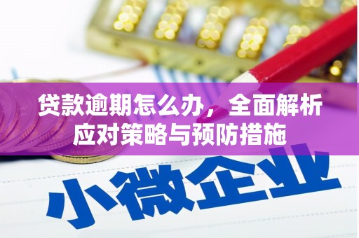 盐田贷款逾期怎么办，全面解析应对策略与预防措施