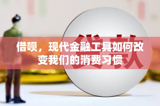 麻山借呗，现代金融工具如何改变我们的消费习惯